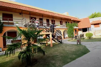 a building with a staircase and a palm tree in front of it at Hotel Marengo in Mina Clavero
