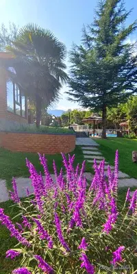 Gallery image of Cabañas El Refugio de los Pajaros in Merlo