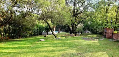 a park with a tree and rocks in the grass at El Rincón del Molle in Merlo