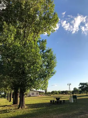 a picnic table and a tree in a park at Cabañas La Querencia 2 dormitorios in Villa Cura Brochero