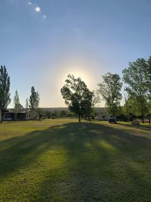 a large field with a tree in the middle of it at Cabañas La Querencia 2 dormitorios in Villa Cura Brochero