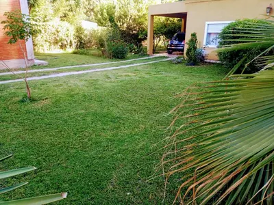 a palm tree in the yard of a house at Casa a 5 km de Villa de Las Rosas in Las Tapias
