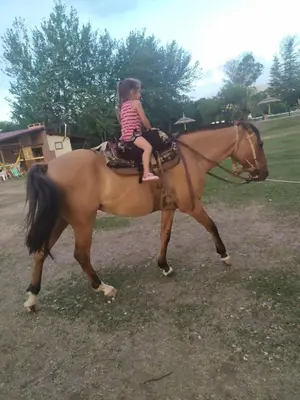 a little girl riding on the back of a horse at Casa grande La Querencia in Villa Cura Brochero