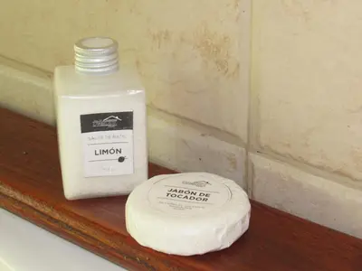 a bottle of laundry detergent next to a roll of toilet paper at Terrazas De Potrero in Potrero de Garay