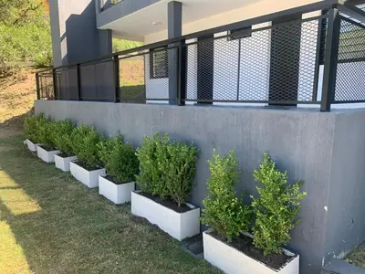 a row of potted plants against a wall at COMPLEJO AYRES DE MAYU SUMAJ in Villa Carlos Paz