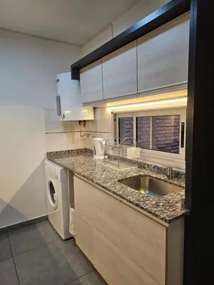 a kitchen with a sink and a washing machine at LitStay Laprida 2 in Cordoba
