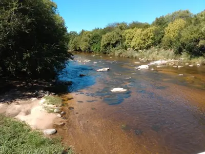 a river with rocks in the water and trees at Villa Coca -Los Jilgueros- in La Bolsa