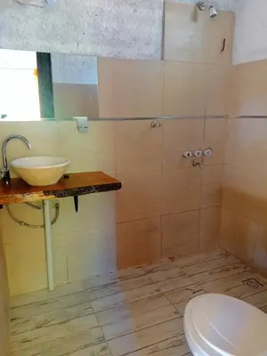 a bathroom with a sink and a toilet at MONOAMBIENTES LOS SAUCES in Mina Clavero