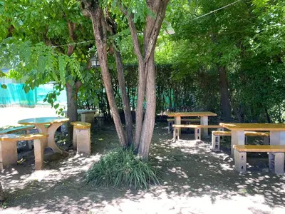 a group of tables and benches under a tree at Departamentos LOS CEDROS in Mina Clavero