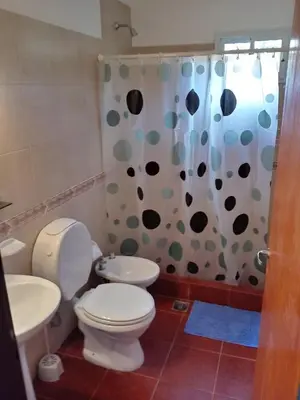 a bathroom with a toilet and a shower curtain at Duplex Alto El Espinillo in Villa General Belgrano