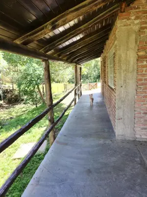 Gallery image of La Paisana in La Bolsa