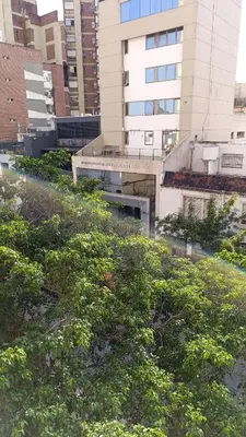 a group of bushes in front of a building at Corro temporal in Cordoba