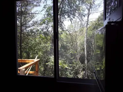 a window in a room with a view of a forest at Las Zarinas 3 in Trapiche