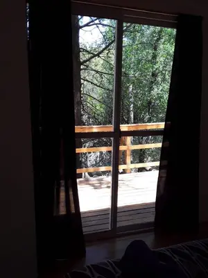 a window in a bedroom looking out at a forest at Las Zarinas 3 in Trapiche