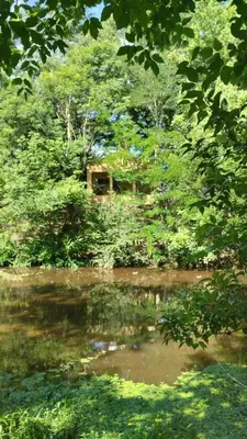 a small cabin in the middle of a river with trees at Torito's House 3 in Tanti