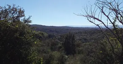 a view of a forest with mountains in the background at Torito's House 3 in Tanti