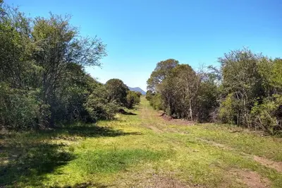 a dirt road with trees on either side of it at Casa Arboles De Tala con parque amplio in Villa General Belgrano