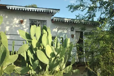 a cactus in front of a white house at Cabaña 