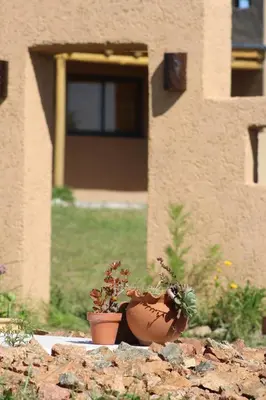 two potted plants sitting on top of a rock at Pequeña Polonia-Lodge & Cabañas in Los Reartes
