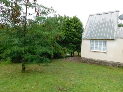 a tree in the yard next to a house at 7 esencias in Villa Yacanto