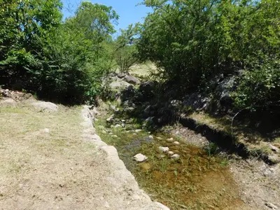 a path on a hill with trees and rocks at 7 esencias in Villa Yacanto