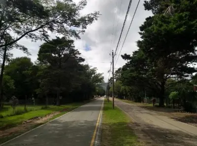 an empty road with trees on either side of it at La Casita de Onha in Villa Ciudad Parque