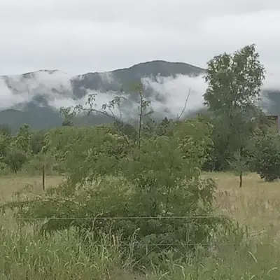 a view of a field with trees and a mountain at La Casita de Onha in Villa Ciudad Parque