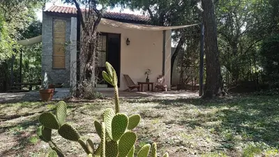 a small house with a cactus in the yard at Aloja Merlo - Conectá con la naturaleza en un ambiente único in Merlo