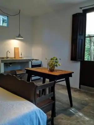 a kitchen with a table with a plant on it at Aloja Merlo - Conectá con la naturaleza en un ambiente único in Merlo