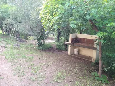 a bench sitting in the middle of a forest at El diquecito monoambiente in Casa Bamba