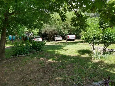 two cars parked in a yard with trees at El diquecito monoambiente in Casa Bamba