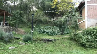 a garden with a lamp in the yard of a house at Inti Huasi in La Paisanita