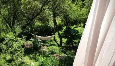 a hammock hanging from a tree in a garden at Inti Huasi in La Paisanita
