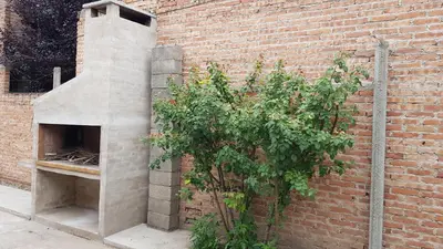 a brick wall with a pizza oven next to a tree at Casa Kassel in Villa Cura Brochero