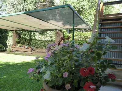 a potted plant with flowers in a garden at Lo de la Omi in Villa General Belgrano