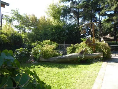 a fallen tree laying on the grass in a yard at Lo de la Omi in Villa General Belgrano