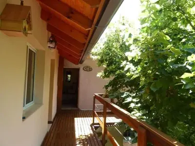 a hallway of a house with a large green plant at Lo de la Omi in Villa General Belgrano