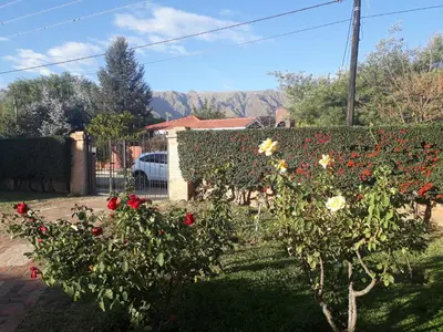 a hedge with flowers in a yard with a car at Casa Anémona in Merlo