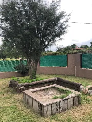 a tree in a field next to a building at Casa Miradores del Lago in Bialet Massé