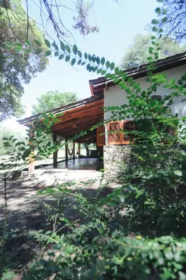 a house with a wooden roof in the woods at Cabaña Modestita - FINCA PUDUAM in Villa General Belgrano