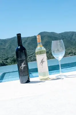 two bottles of wine and a glass on a table at Cabaña Modestita - FINCA PUDUAM in Villa General Belgrano