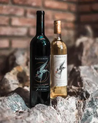 two bottles of wine sitting on a rock at Cabaña Sol - FINCA PUDUAM in Villa General Belgrano