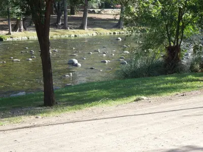 a group of ducks swimming in a river at Cabañas La Pirca in Santa Rosa de Calamuchita