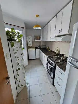 a kitchen with white cabinets and a plant at Laprida y Trejo Apartamento in Cordoba
