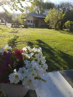 a vase of flowers sitting on a table in a yard at Las Brisas casas de campo un lugar para soñar in San Antonio de Arredondo