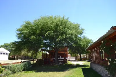 a tree in a yard next to a house at Las Esmeraldas in Nono