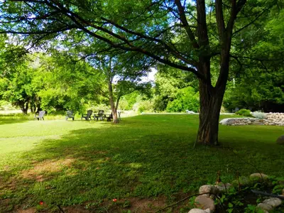 a park with tables and a tree in the grass at Manantial Hostería & Cabañas in Nono