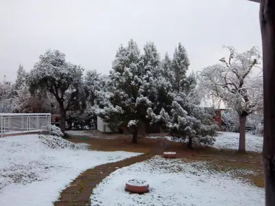 a yard covered in snow with trees and a fence at Hosteria Sueños Dorados in Merlo