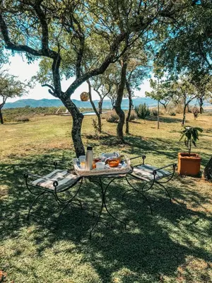 a picnic table in a field under a tree at Finca Granero in Potrero de Garay