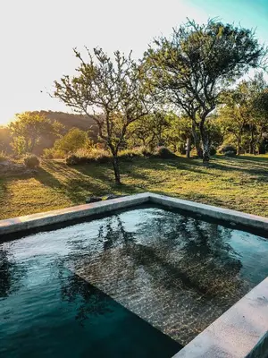 a pool of water with trees in a field at Finca Granero in Potrero de Garay